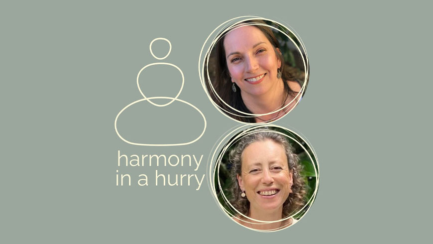 harmony in a hurry harmony in a hurry