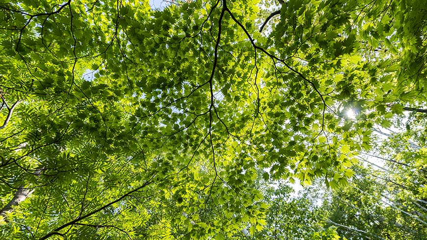 the breath as a barometer: what your breathing reveals about your inner state the breath as a barometer: what your breathing reveals about your inner state