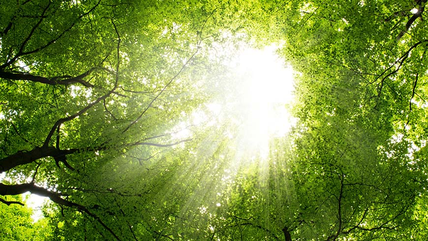 the earth is breathing you