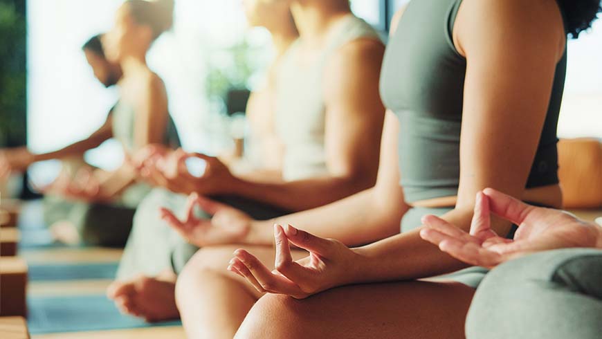 we are not separate: breath, earth and the field of oneness